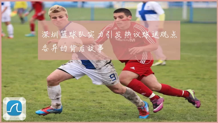 深圳篮球队实力引发热议球迷观点各异的背后故事