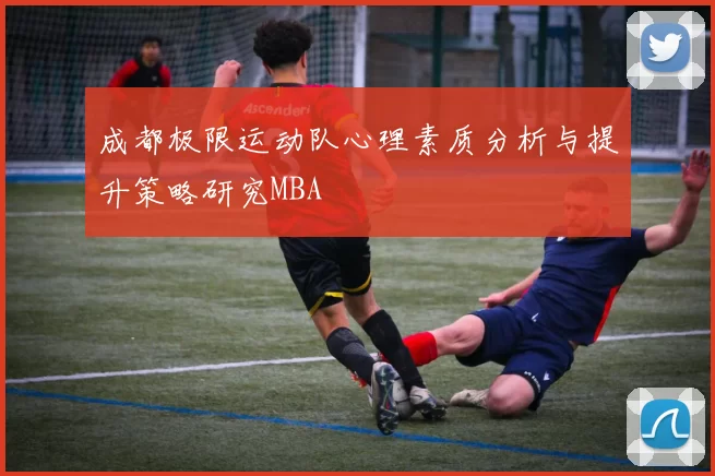 成都极限运动队心理素质分析与提升策略研究MBA