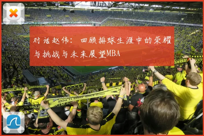 对话赵伟：回顾排球生涯中的荣耀与挑战与未来展望MBA