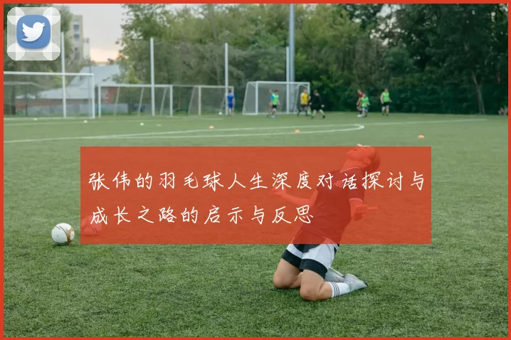 张伟的羽毛球人生深度对话探讨与成长之路的启示与反思